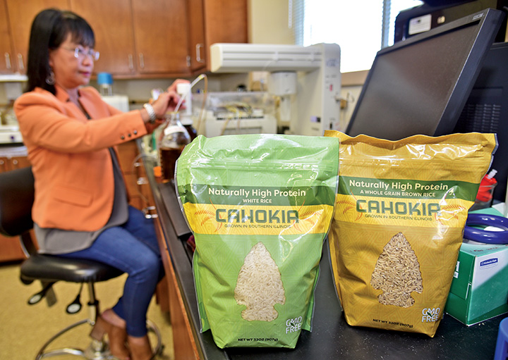 LSU AgCenter-developed high-protein rice on grocery shelves